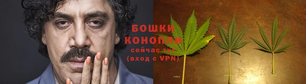 шишки Красноперекопск