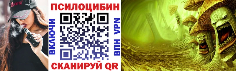 Галлюциногенные грибы Psilocybine cubensis  Купить  Георгиевск 