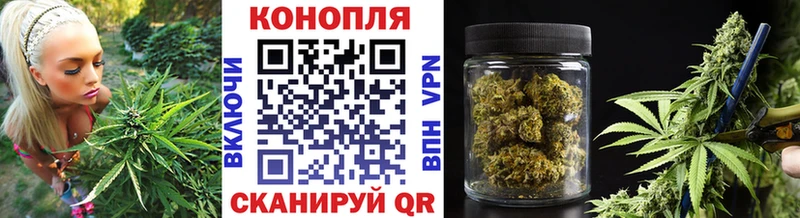 Купить закладки  Георгиевск  Бошки марихуана Ganja 